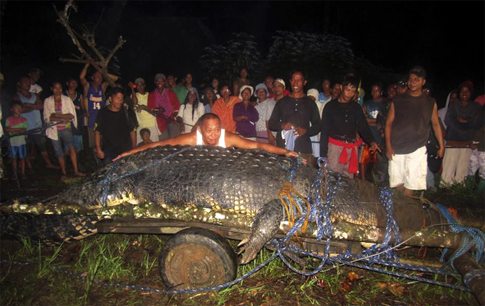 Filipinas presenta a su nueva mascota cocodrilo 6 metros Filipinas presenta a su nueva mascota