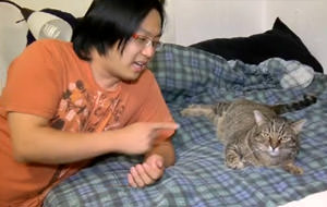 El gato más hijoputa del mundo