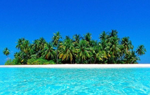 Ninfas del caribe