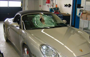 Pájaro contra un coche a 250 KM/h?