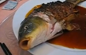 Gastronomía china: pescado frito agonizando