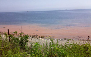 Playa paradisíaca en Vladivostok