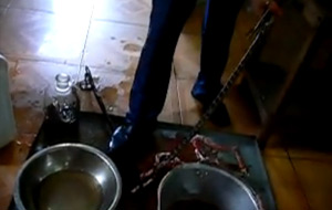 Cómo hacer vino de serpiente