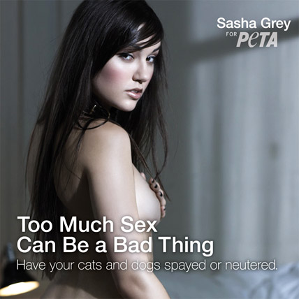 sashapeta428