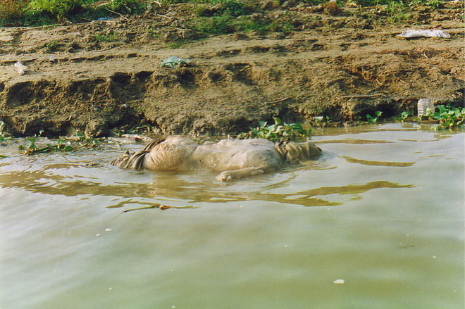varanasi08