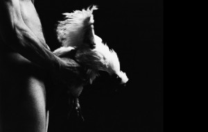 Paul Blanca practicando sexo con una gallina