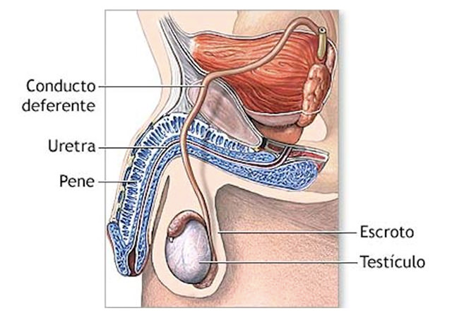 alargapene-17.jpg