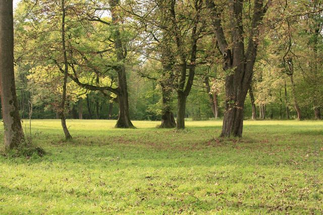 jordan-carver-yoga00
